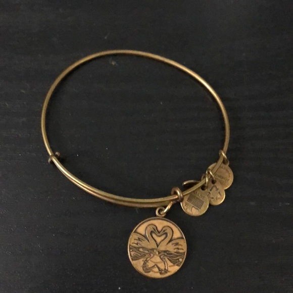 Alex and Ani Jewelry - Alex and Ani Perfect Pair Bracelet